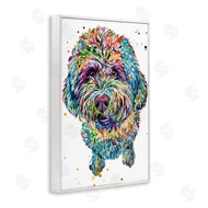Jennifer Seeley | Lagotto Romagnolo Puppy