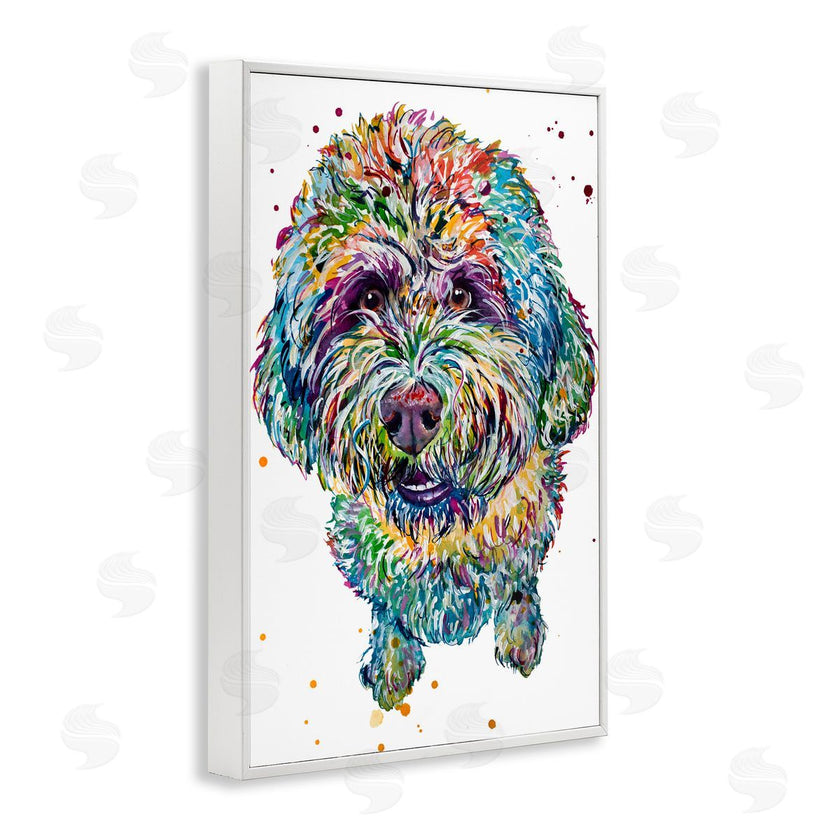 Jennifer Seeley | Lagotto Romagnolo Puppy