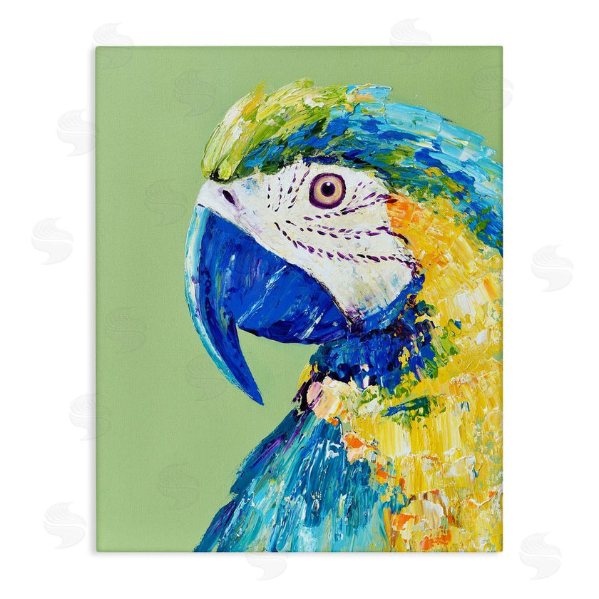 Jennifer Seeley | Macaw Parrot on Green