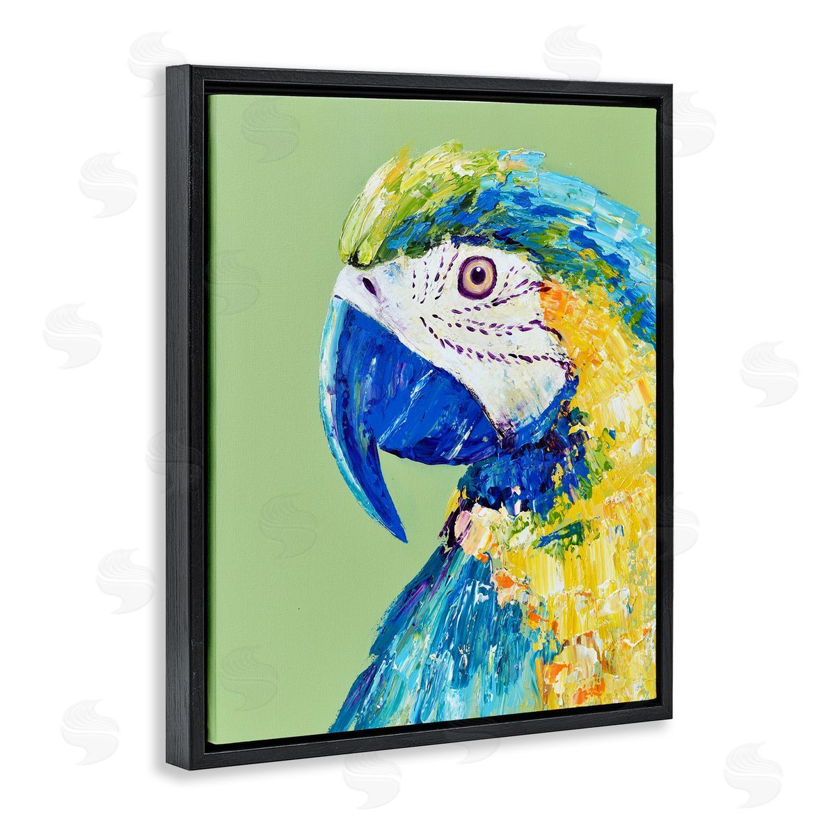 Jennifer Seeley Macaw Parrot on Green Black Floating Frame Canvas Wall Art Print