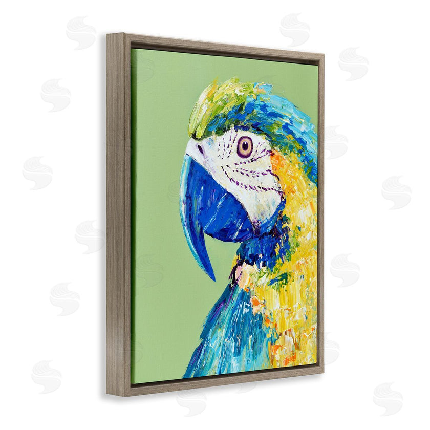 Jennifer Seeley | Macaw Parrot on Green