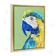 Jennifer Seeley | Macaw Parrot on Green