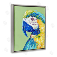 Jennifer Seeley | Macaw Parrot on Green
