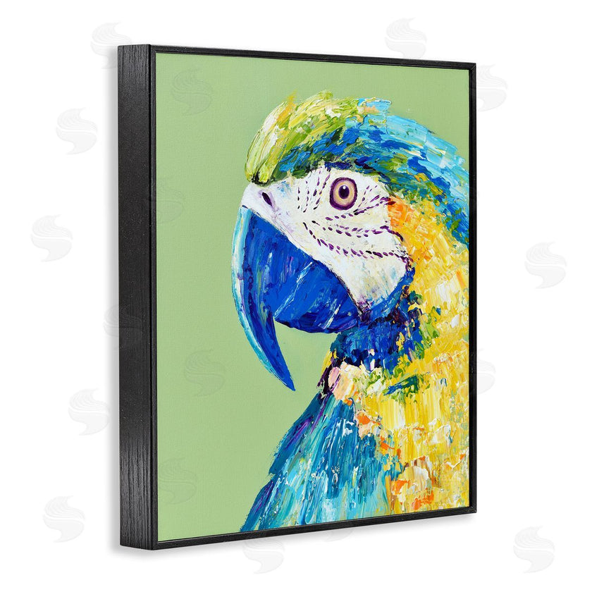 Jennifer Seeley | Macaw Parrot on Green