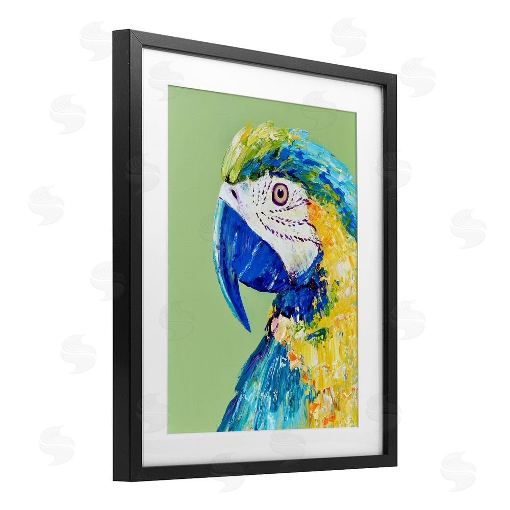 Jennifer Seeley Macaw Parrot on Green Black Framed Print Under Glass Art
