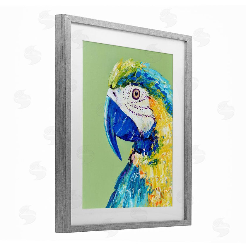 Jennifer Seeley | Macaw Parrot on Green