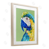 Jennifer Seeley | Macaw Parrot on Green