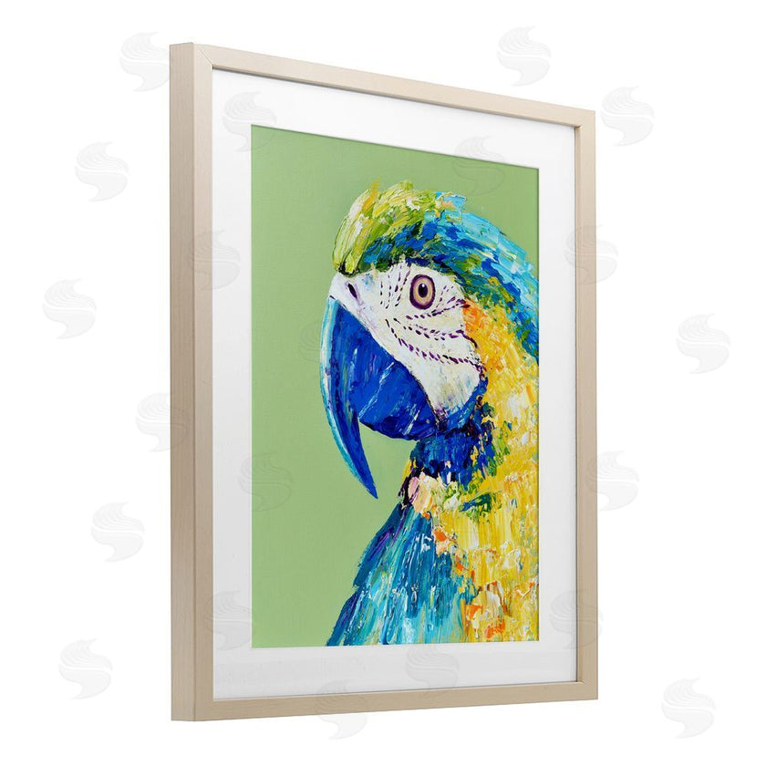 Jennifer Seeley | Macaw Parrot on Green