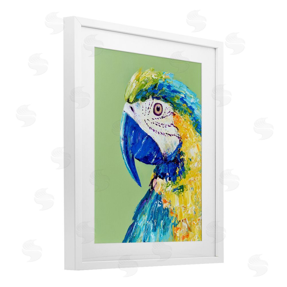 Jennifer Seeley Macaw Parrot on Green White Framed Print Under Glass Art