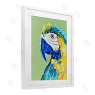 Jennifer Seeley | Macaw Parrot on Green