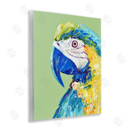 Jennifer Seeley | Macaw Parrot on Green