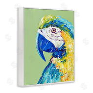 Jennifer Seeley | Macaw Parrot on Green