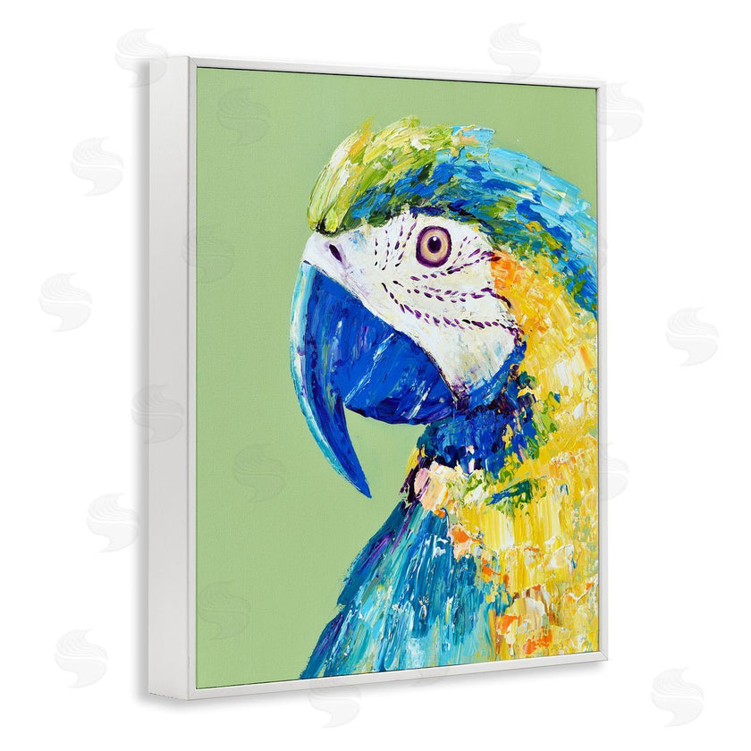 Jennifer Seeley | Macaw Parrot on Green