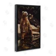 Collin Bogle | Cool Foot Brown Bear