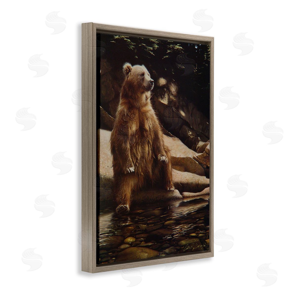 Collin Bogle Cool Foot Brown Bear Canvas Wall Art Print