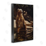Collin Bogle | Cool Foot Brown Bear