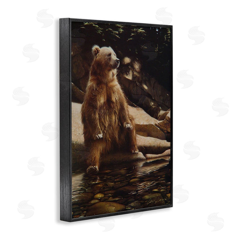 Collin Bogle | Cool Foot Brown Bear