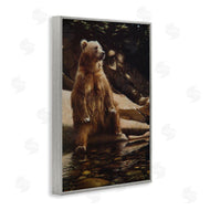 Collin Bogle | Cool Foot Brown Bear
