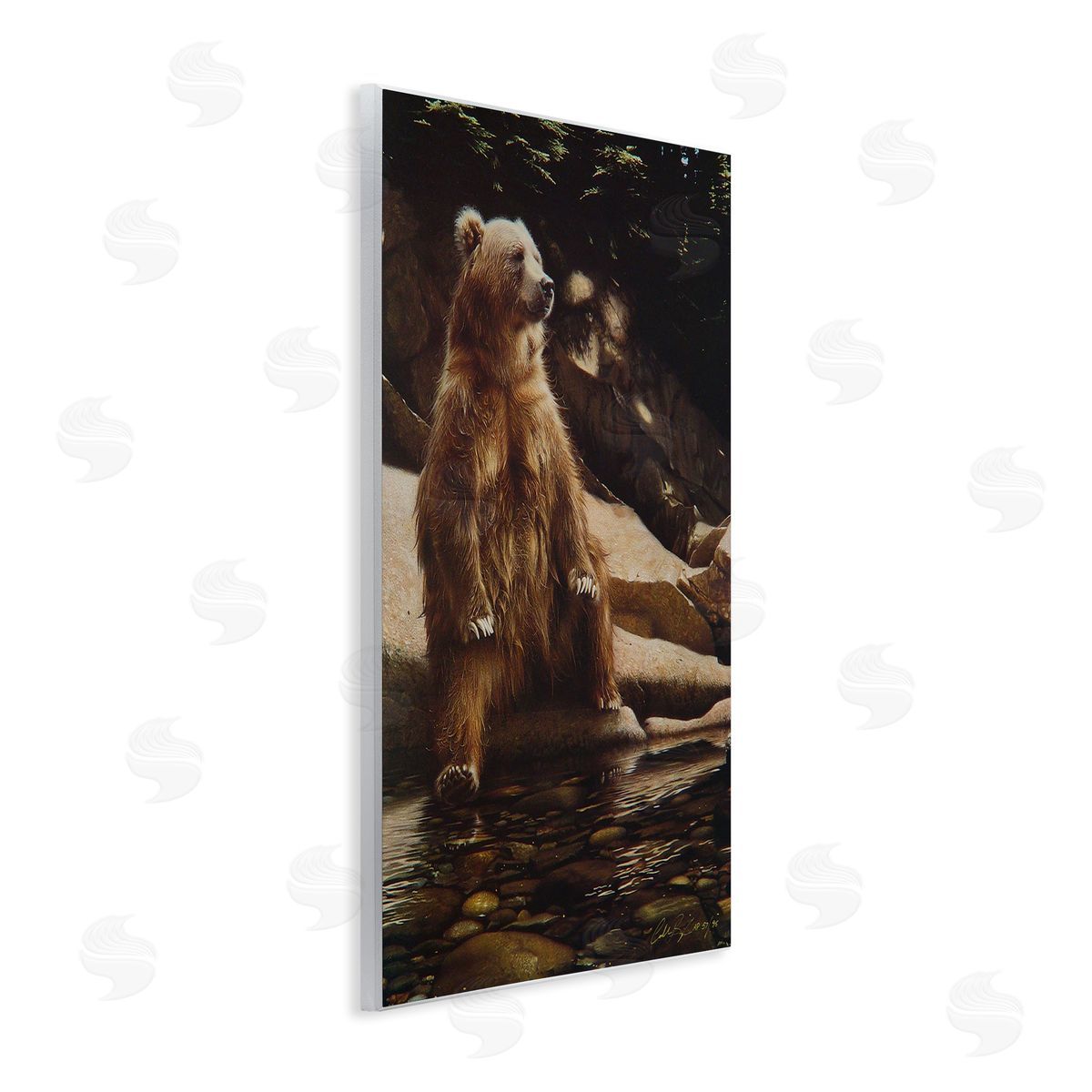 Collin Bogle Cool Foot Brown Bear Canvas Wall Art Print