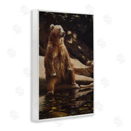 Collin Bogle | Cool Foot Brown Bear