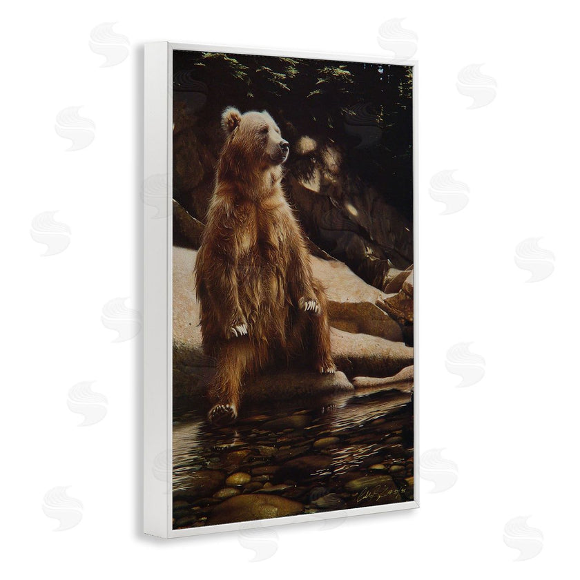 Collin Bogle | Cool Foot Brown Bear