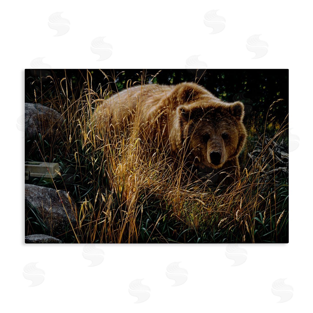 Collin Bogle Crossing Paths Grizzly Bear Canvas Wall Art Print