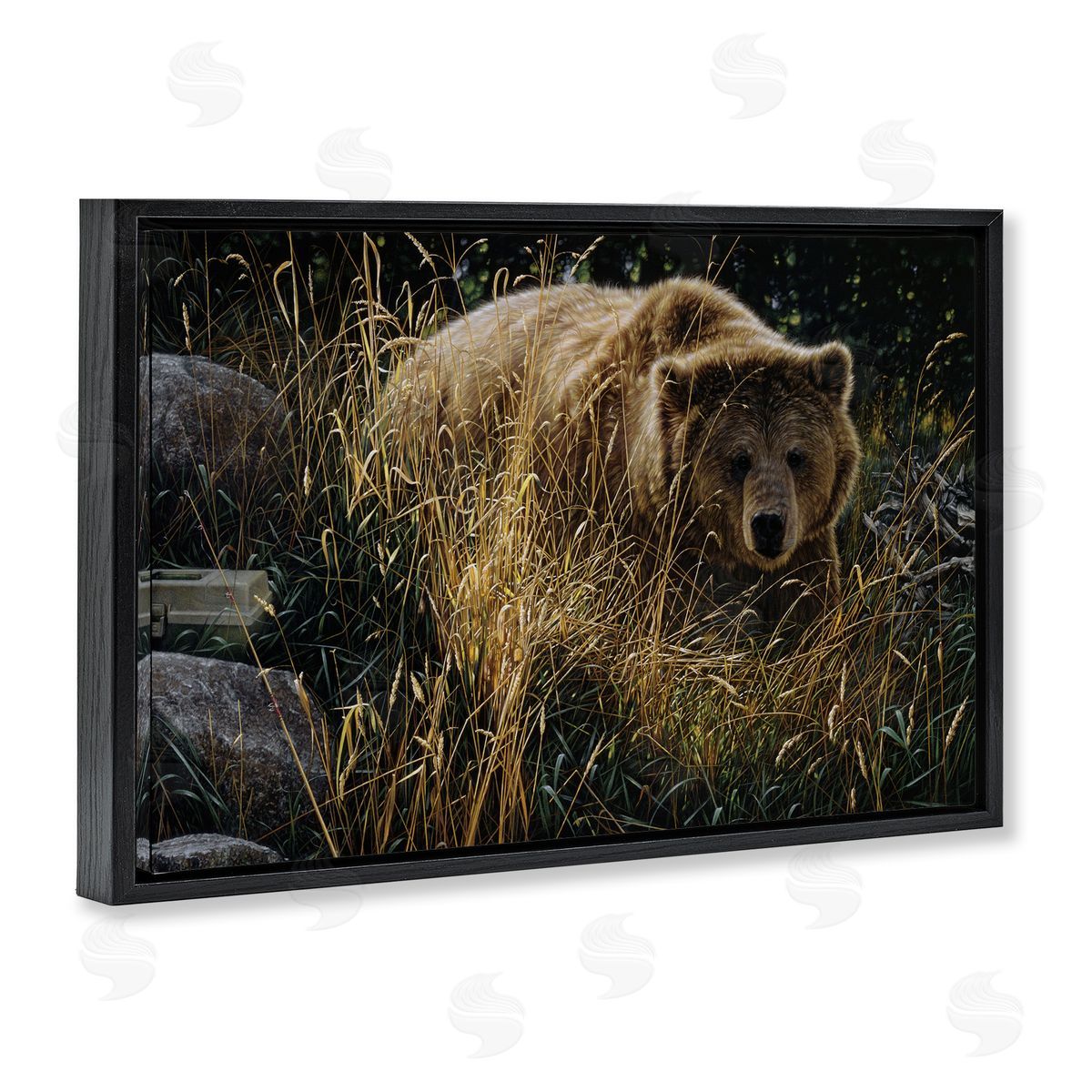 Collin Bogle Crossing Paths Grizzly Bear Canvas Wall Art Print