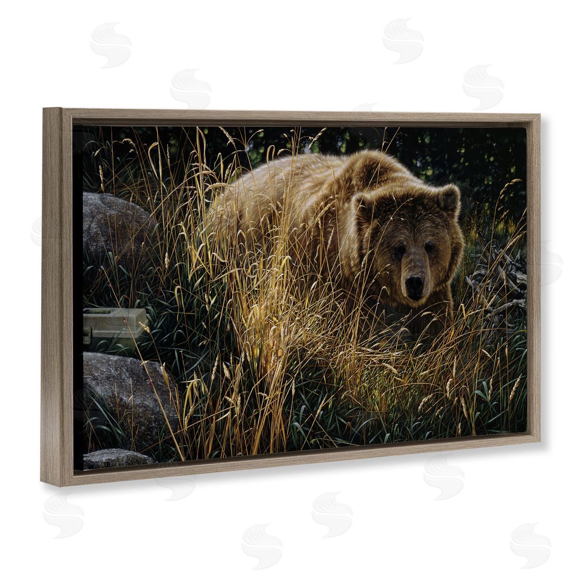Collin Bogle Crossing Paths Grizzly Bear Canvas Wall Art Print