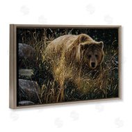 Collin Bogle | Crossing Paths Grizzly Bear