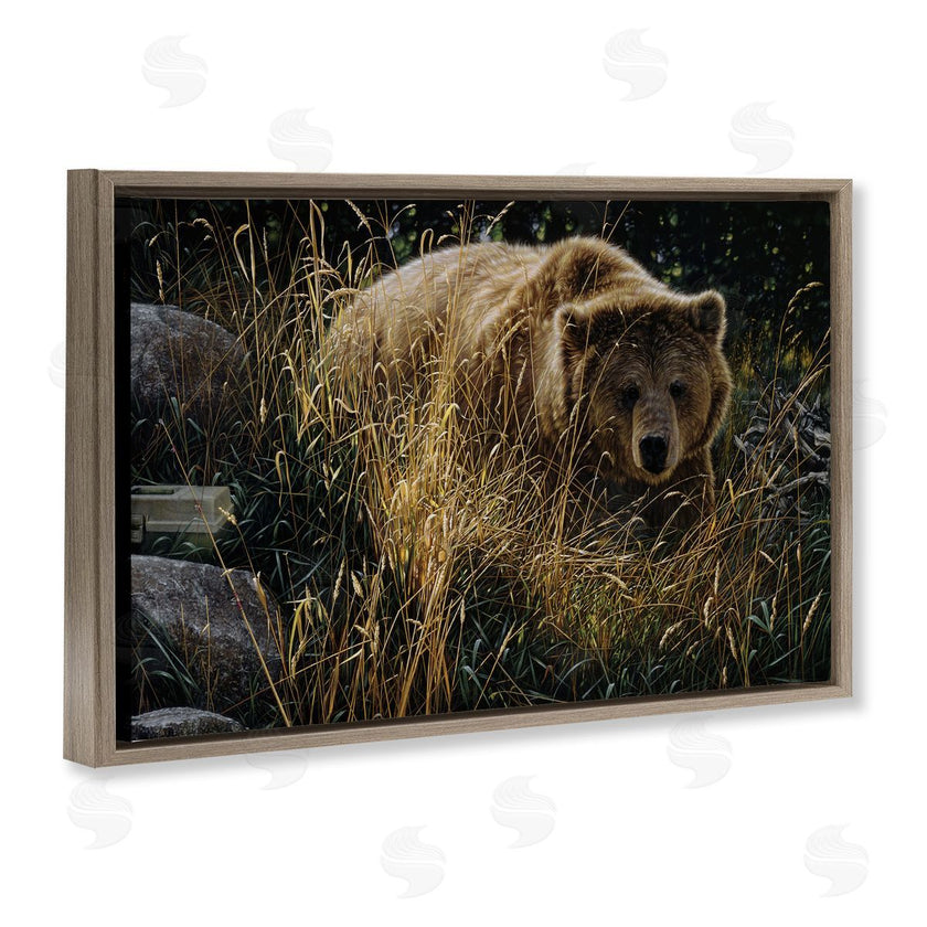 Collin Bogle | Crossing Paths Grizzly Bear