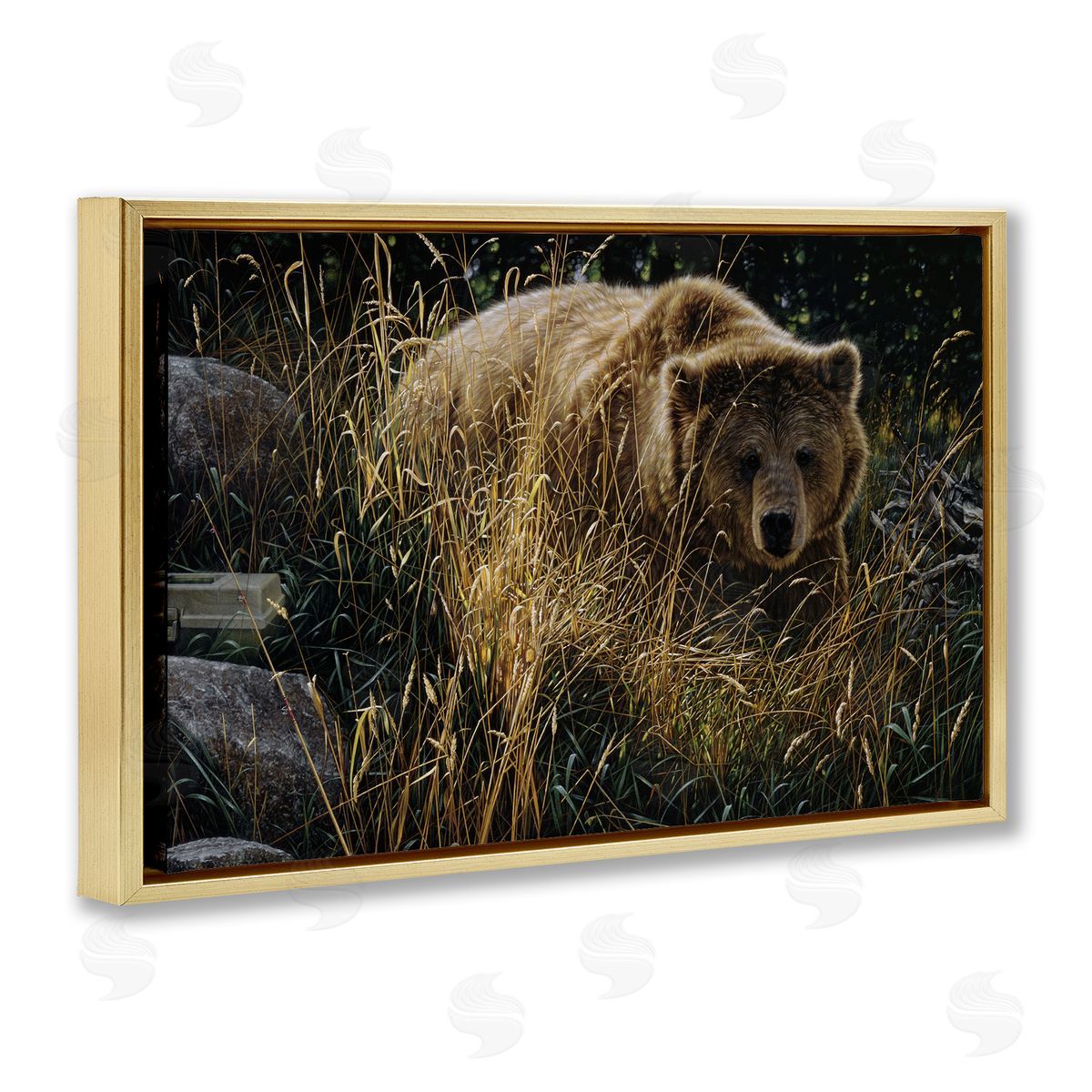 Collin Bogle Crossing Paths Grizzly Bear Canvas Wall Art Print