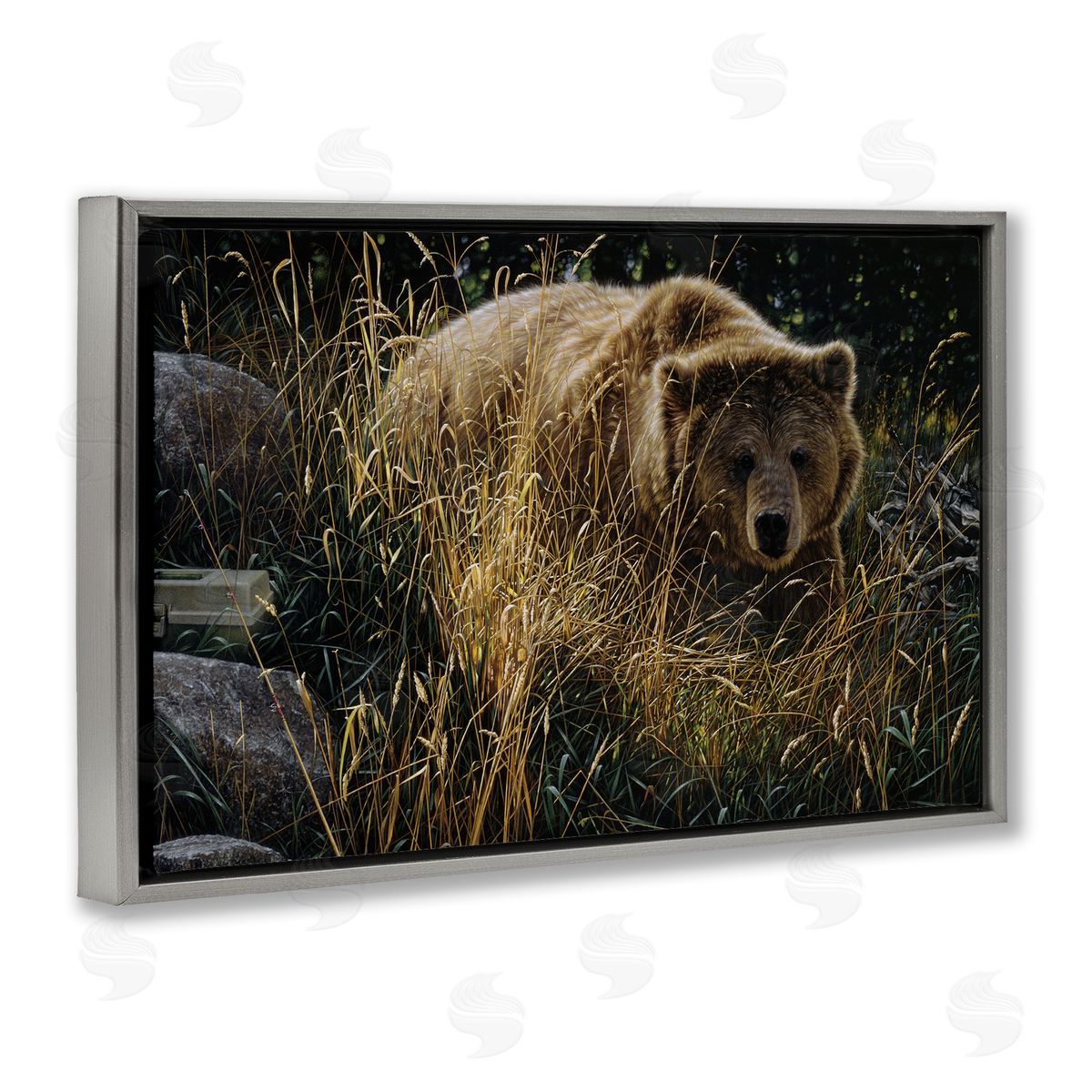 Collin Bogle Crossing Paths Grizzly Bear Canvas Wall Art Print