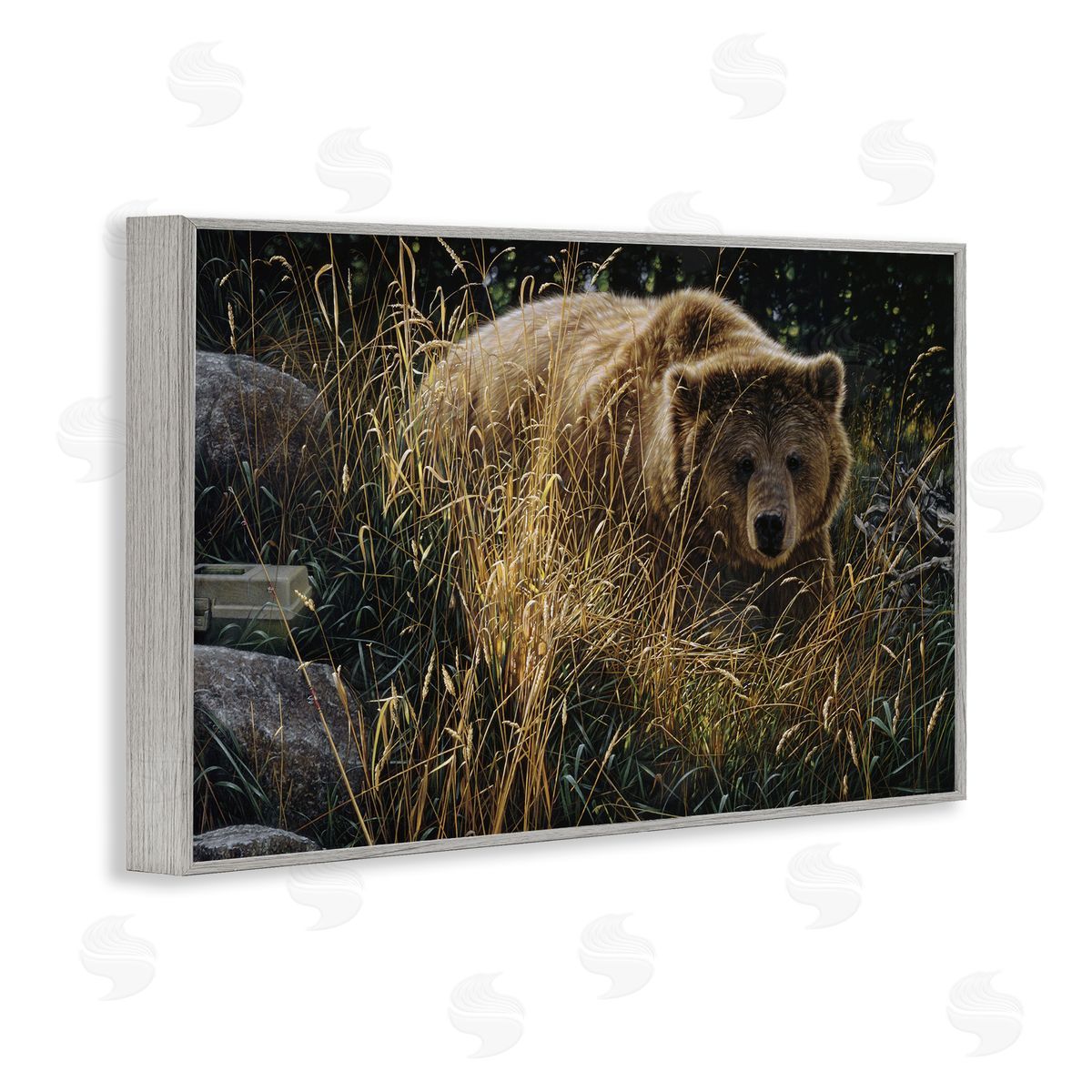 Collin Bogle Crossing Paths Grizzly Bear Canvas Wall Art Print