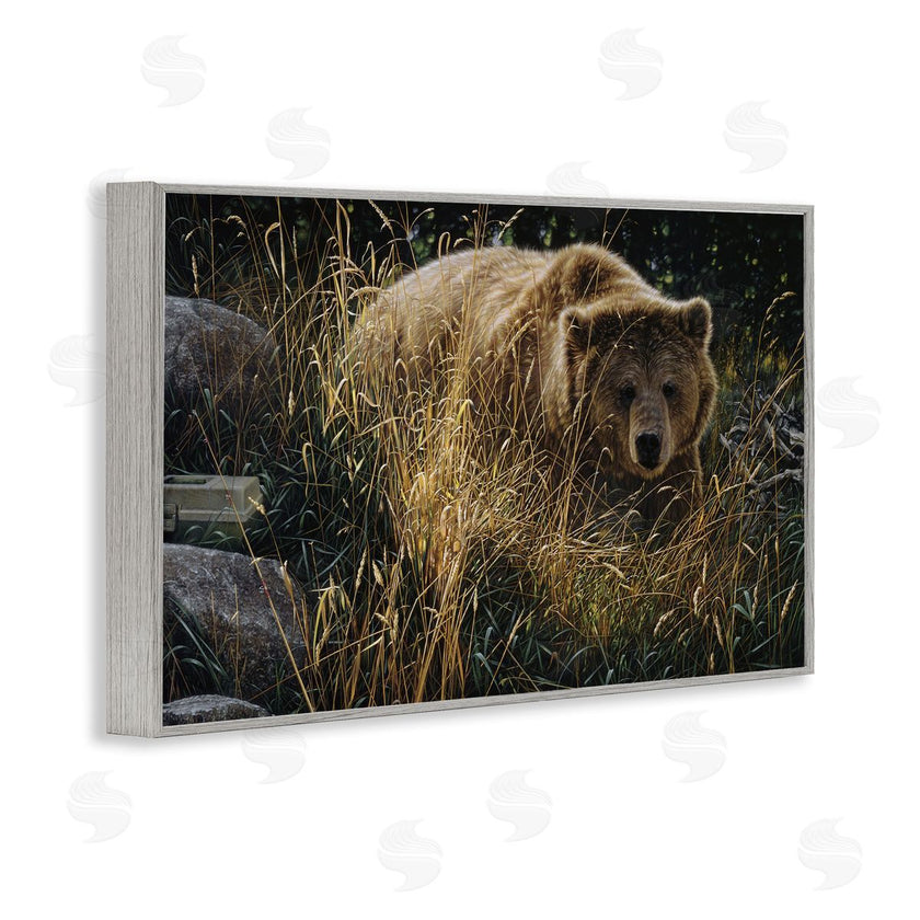 Collin Bogle | Crossing Paths Grizzly Bear
