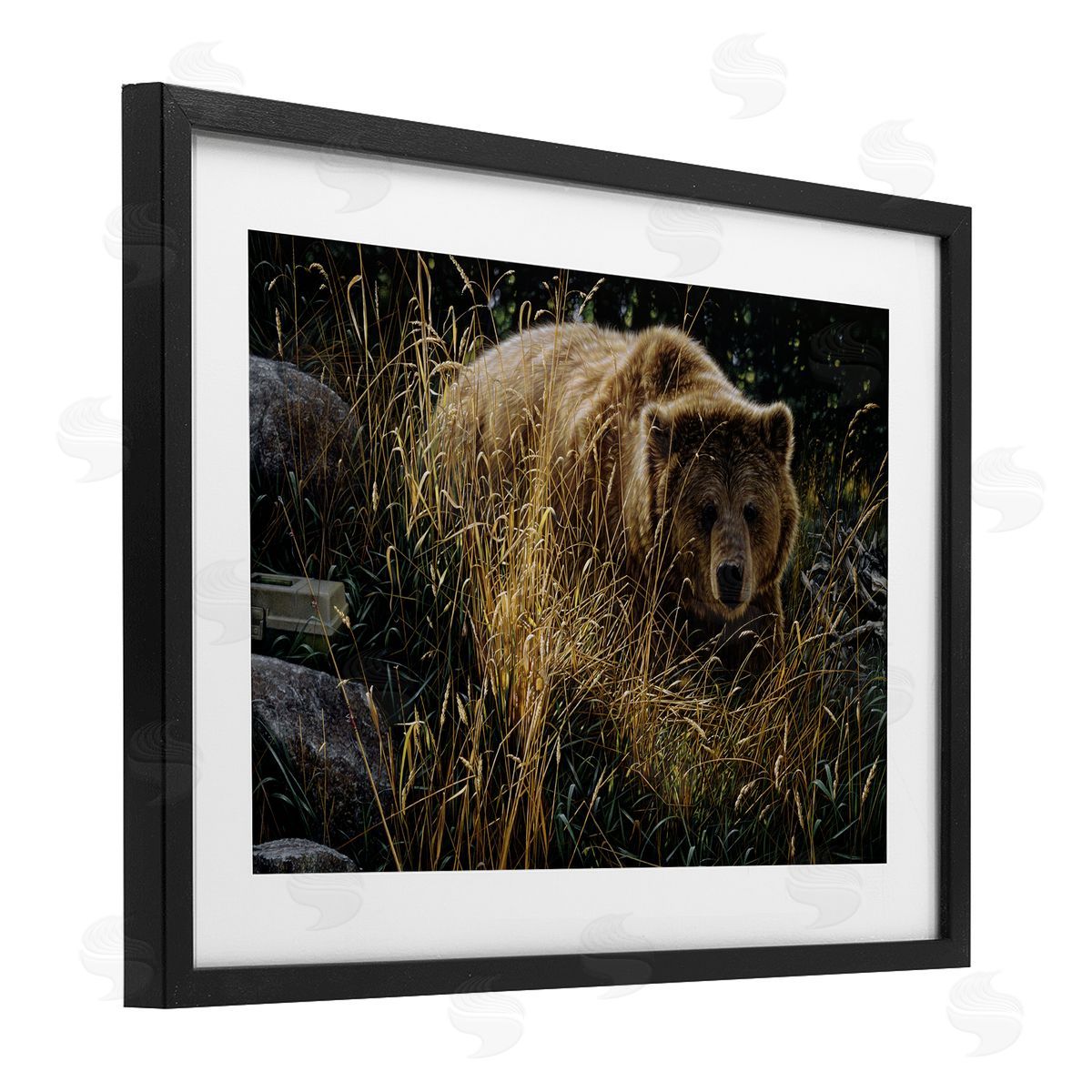 Collin Bogle Crossing Paths Grizzly Bear Canvas Wall Art Print