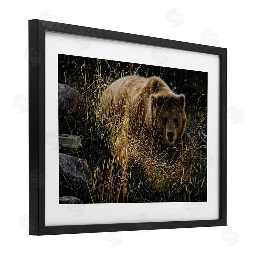 Collin Bogle | Crossing Paths Grizzly Bear