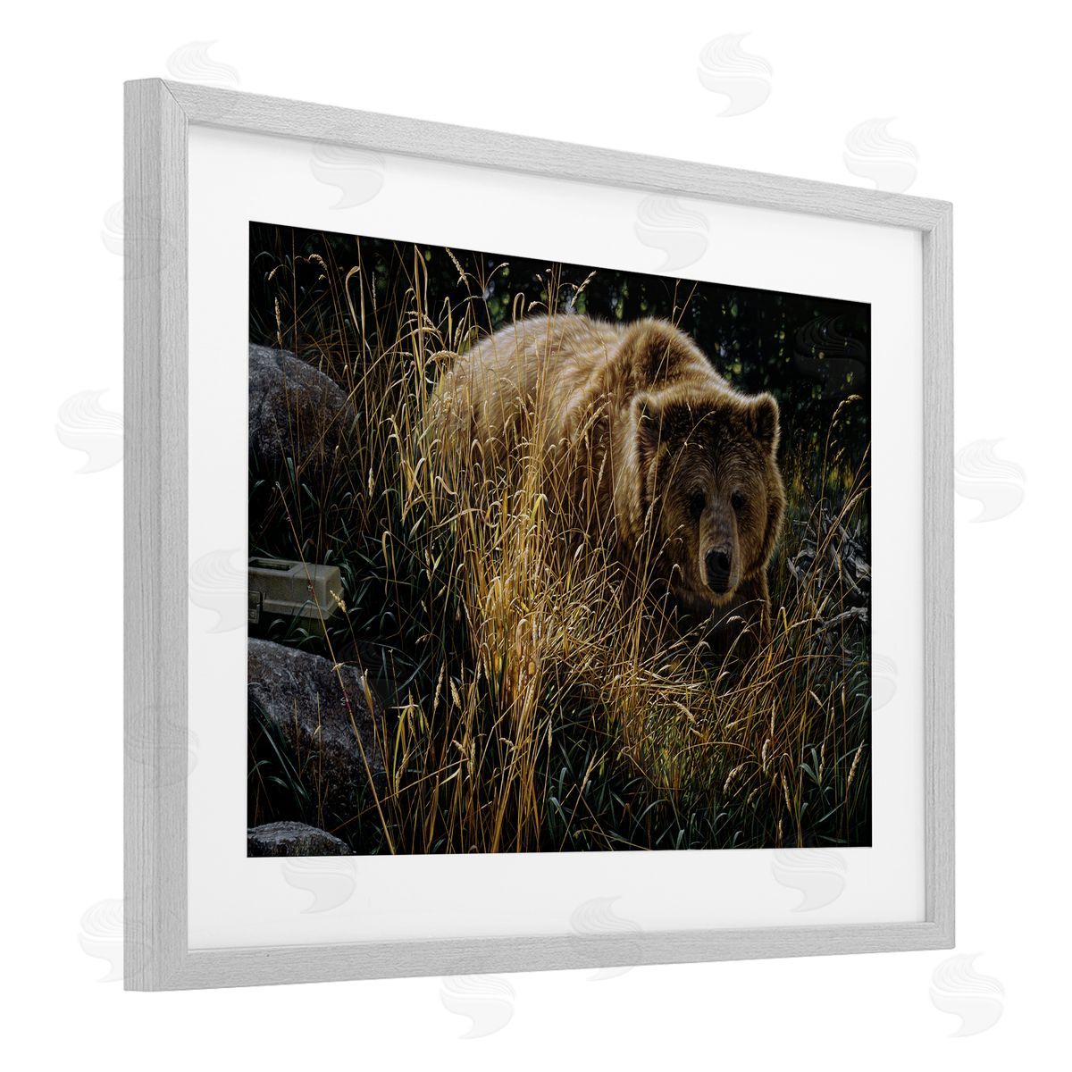 Collin Bogle Crossing Paths Grizzly Bear Canvas Wall Art Print