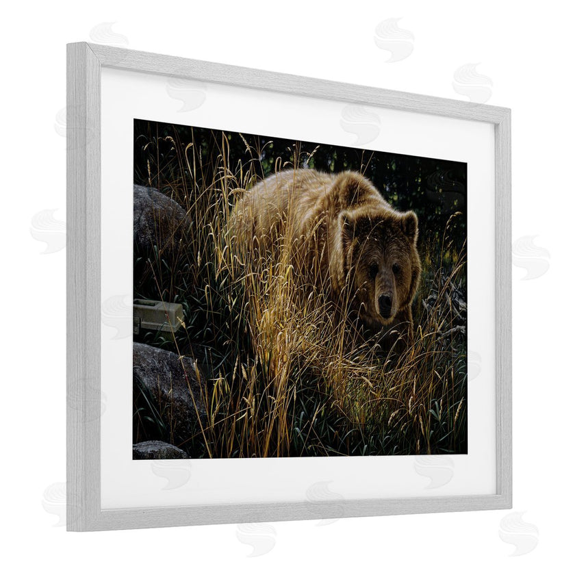 Collin Bogle | Crossing Paths Grizzly Bear