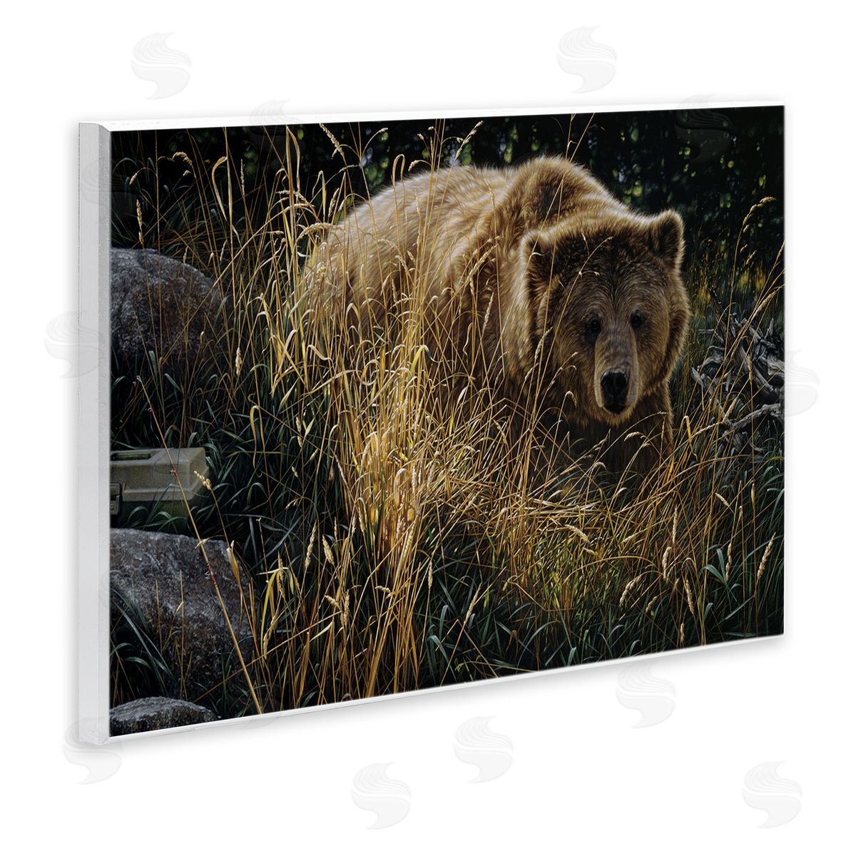 Collin Bogle Crossing Paths Grizzly Bear Canvas Wall Art Print