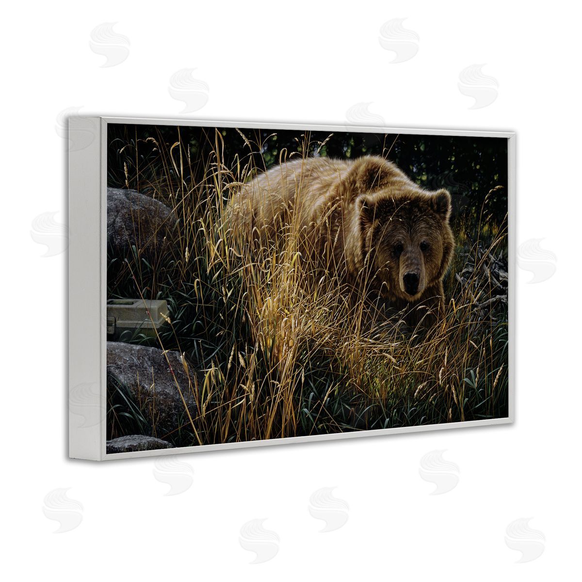 Collin Bogle Crossing Paths Grizzly Bear Canvas Wall Art Print