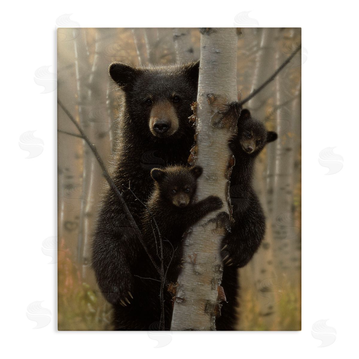 Collin Bogle Mama Bear Behind Tree Canvas Wall Art Print