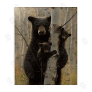 Collin Bogle | Mama Bear Behind Tree