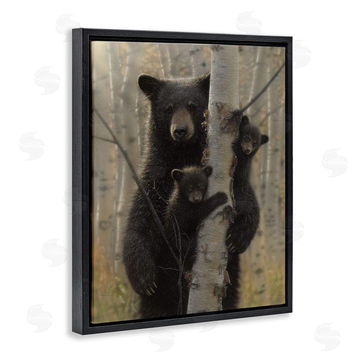 Collin Bogle Mama Bear Behind Tree Canvas Wall Art Print
