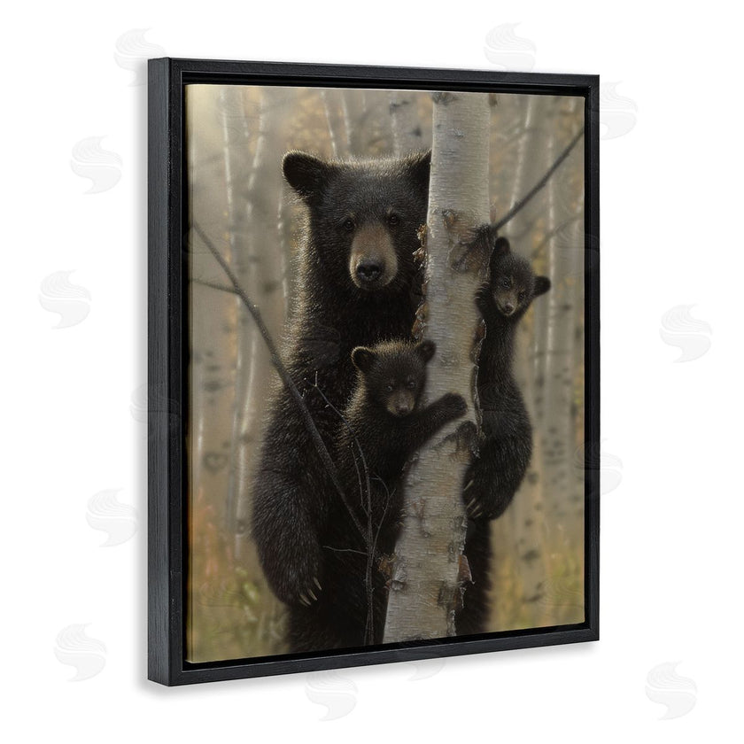 Collin Bogle | Mama Bear Behind Tree