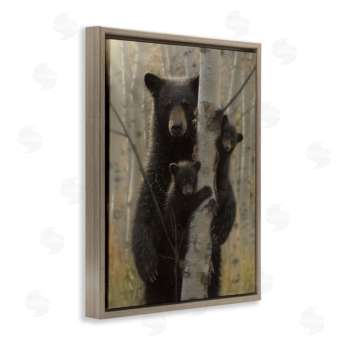 Collin Bogle Mama Bear Behind Tree Canvas Wall Art Print