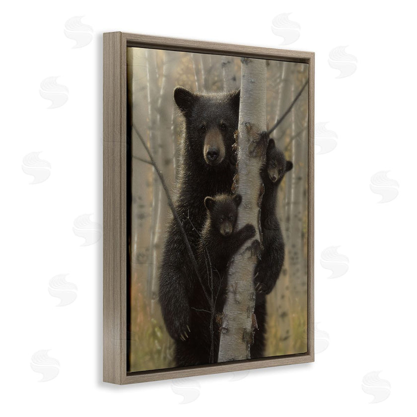 Collin Bogle | Mama Bear Behind Tree