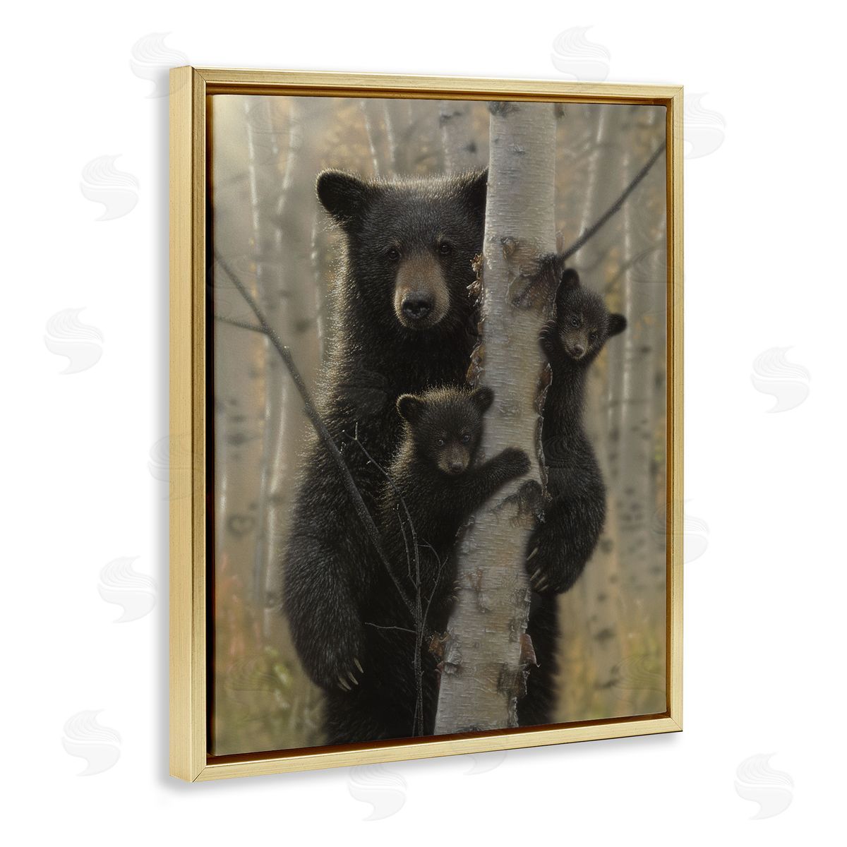 Collin Bogle Mama Bear Behind Tree Canvas Wall Art Print