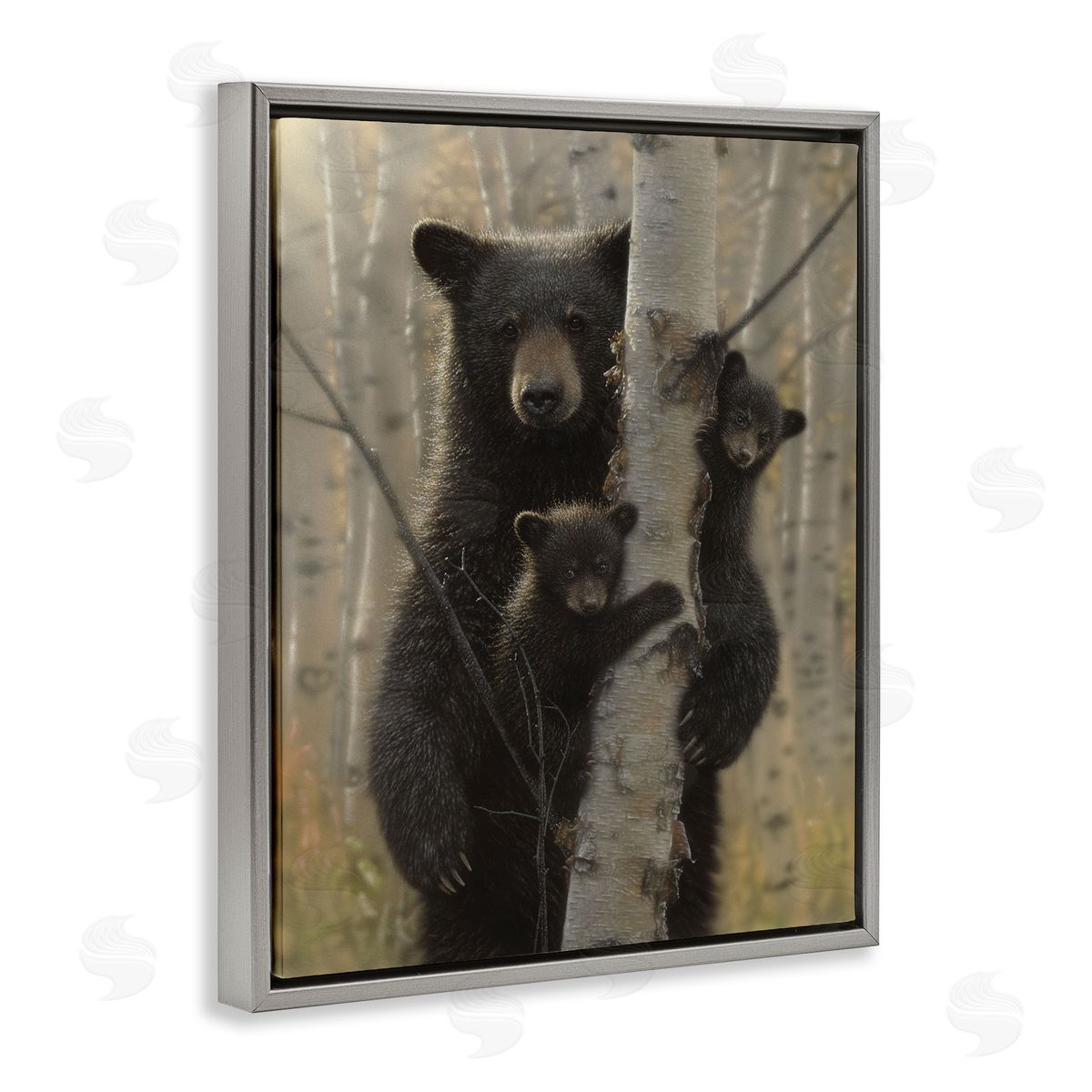 Collin Bogle Mama Bear Behind Tree Canvas Wall Art Print