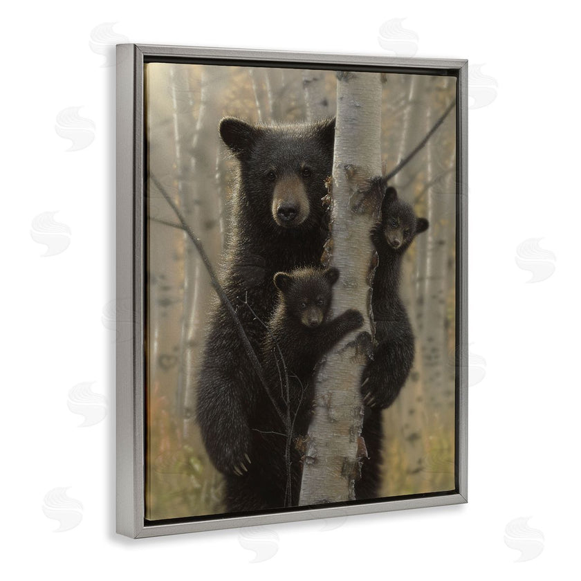 Collin Bogle | Mama Bear Behind Tree