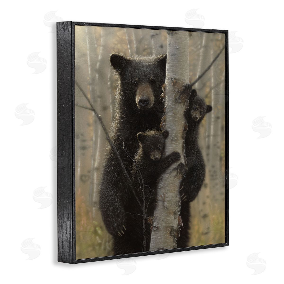 Collin Bogle Mama Bear Behind Tree Canvas Wall Art Print